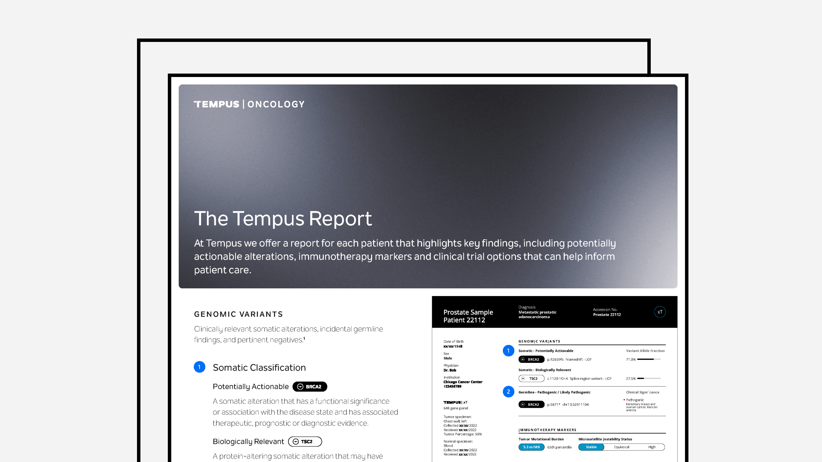 Clinical Report Guide